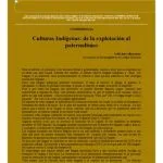 خرید و دانلود نسخه کامل کتاب Culturas indígenas: de la explotación al paternalismo