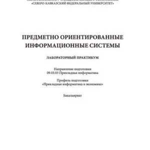 خرید و دانلود نسخه کامل کتاب Предметно ориентированные информационные системы: лабораторный практикум