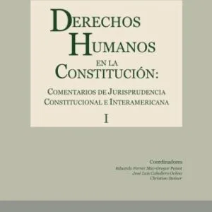 خرید و دانلود نسخه کامل کتاب Derechos humanos en la Constitución : comentarios de jurisprudencia constitucional e interamericana. Tomo I