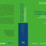 خرید و دانلود نسخه کامل کتاب Derechos y garantias de la niñez y adolescencia: Hacia la consolidación de la doctrina de protección integral