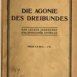 خرید و دانلود نسخه کامل کتاب Die Agonie des Dreibundes: Das letzte Jahrzehnt italienischer Untreue