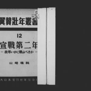 خرید و دانلود نسخه کامل کتاب 宣戦第二年 : 我等いかに戦ふべきか