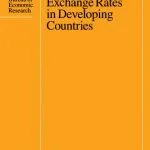 خرید و دانلود نسخه کامل کتاب Economic Adjustment and Exchange Rates in Developing Countries (National Bureau of Economic Research Conference Report)