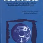 خرید و دانلود نسخه کامل کتاب El desafío de la Declaración : Historia y futuro de la declaración de la ONU sobre pueblos indígenas