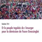 خرید و دانلود نسخه کامل کتاب Et le peuple togolais de s’insurger pour la démission de Faure Gnassingbé