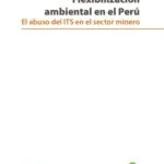 خرید و دانلود نسخه کامل کتاب Flexibilización ambiental en el Perú: el abuso del ITS en el sector minero