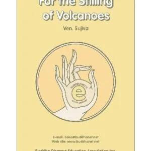 خرید و دانلود نسخه کامل کتاب For the Stilling of Volcanoes