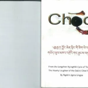 خرید و دانلود نسخه کامل کتاب From the Longchen Nyingthik Cycle of Teachings: The Hearty Laughter of the Dakini Chöd Practice