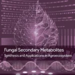 خرید و دانلود نسخه کامل کتاب 
Fungal Secondary Metabolites: Synthesis and Applications in Agroecosystem (Nanobiotechnology for Plant Protection) سورنا بوک