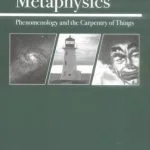 خرید و دانلود نسخه کامل کتاب Guerrilla Metaphysics: Phenomenology and the Carpentry of Things