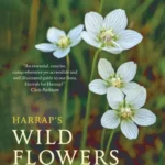خرید و دانلود نسخه کامل کتاب 
Harrap’s Wild Flowers 2nd Edition