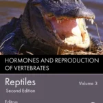 خرید و دانلود نسخه کامل کتاب 
Hormones and Reproduction of Vertebrates, Volume 3 - Reptiles 2nd Edition سورنا بوک