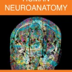 خرید و دانلود نسخه کامل کتاب 
Human Neuroanatomy سورنا بوک