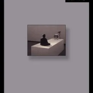 خرید و دانلود نسخه کامل کتاب Hyperreality and Global Culture (Routledge Social Futures Series)