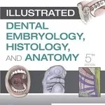 خرید و دانلود نسخه کامل کتاب Illustrated Dental Embryology, Histology, and Anatomy E-Book 5th Edition