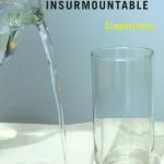 خرید و دانلود نسخه کامل کتاب Insurmountable Simplicities: Thirty-nine Philosophical Conundrums