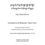 خرید و دانلود نسخه کامل کتاب Introduction to the Mahamudra “Inborn Union”: Removing the Darkness of Ignorance Through the Ornament of Luminous Primordial Wisdom