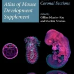 خرید و دانلود نسخه کامل کتاب 
Kaufman’s Atlas of Mouse Development Supplement: With Coronal Sections 2nd Edition