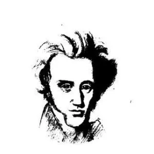 خرید و دانلود نسخه کامل کتاب Kierkegaard: Los límites de la razón en la existencia humana