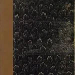 خرید و دانلود نسخه کامل کتاب Kirchenrecht, Bd. 2. Katholisches Kirchenrecht