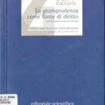 خرید و دانلود نسخه کامل کتاب La giurisprudenza come fonte del diritto