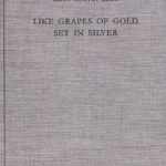 خرید و دانلود نسخه کامل کتاب Like Grapes of Gold Set in Silver: An Interpretation of Proverbial Clusters in Proverbs 10:1—22:16