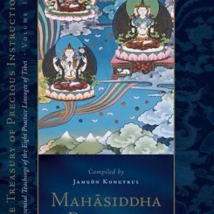 خرید و دانلود نسخه کامل کتاب Mahāsiddha Practice: From Mitrayogin and Other Masters, The Treasury of Precious Instructions: Essential Teachings of the Eight Practice Lineages of Tibet; volume 16
