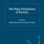 خرید و دانلود نسخه کامل کتاب Many Dimensions of Poverty