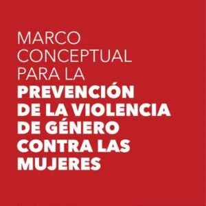 خرید و دانلود نسخه کامل کتاب Marco conceptual para la prevención de la violencia de género contra las mujeres