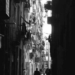 خرید و دانلود نسخه کامل کتاب Matar al chino : entre la revolución urbanística y el asedio urbano en el barrio del Raval de Barcelona