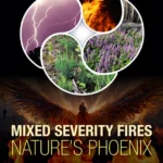 خرید و دانلود نسخه کامل کتاب 
Mixed Severity Fires: Nature's Phoenix 2nd Edition سورنا بوک