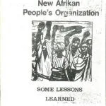 خرید و دانلود نسخه کامل کتاب New Afrikan People’s Organization: Some Lessons Learned