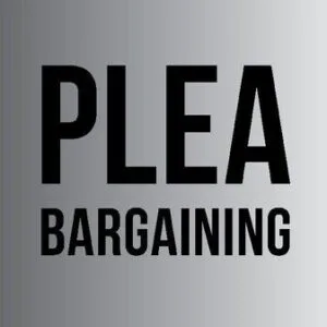 خرید و دانلود نسخه کامل کتاب Plea Bargaining