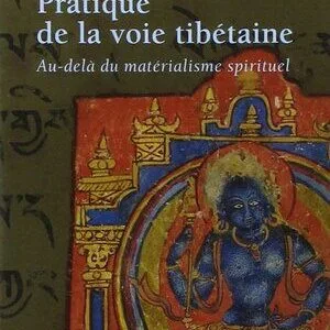 خرید و دانلود نسخه کامل کتاب Pratique de la voie tibétaine : au-delà du matérialisme spirituel
