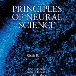 خرید و دانلود نسخه کامل کتاب Principles of Neural Science, Sixth Edition 6th Edition