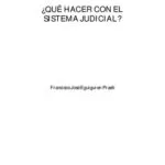 خرید و دانلود نسخه کامل کتاب ¿Qué hacer con el sistema judicial? (Perú)