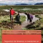 خرید و دانلود نسخه کامل کتاب Seguridad de tenencia e inversiones en el agro peruano