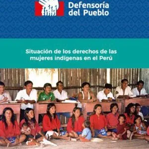 خرید و دانلود نسخه کامل کتاب Situación de los derechos de las mujeres indígenas en el Perú