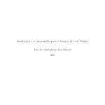 خرید و دانلود نسخه کامل کتاب Solution manual to Lectures on Corporate Finance
