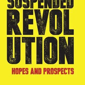 خرید و دانلود نسخه کامل کتاب South Africa’s Suspended Revolution: Hopes and Prospects