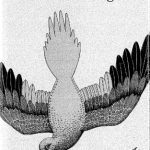 خرید و دانلود نسخه کامل کتاب Stable Peace