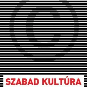 خرید و دانلود نسخه کامل کتاب Szabad kultúra – A kreativitás természete és jövője   Free Culture: How Big Media Uses Technology and the Law to Lock Down Culture and Control Creativity