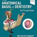 خرید و دانلود نسخه کامل کتاب The Anatomical Basis of Dentistry - E-Book