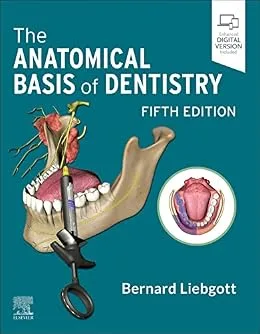 خرید و دانلود نسخه کامل کتاب The Anatomical Basis of Dentistry – E-Book_6a62a6ed5024f.jpeg خرید و دانلود نسخه کامل کتاب The Anatomical Basis of Dentistry - E-Book - تصویر 1
