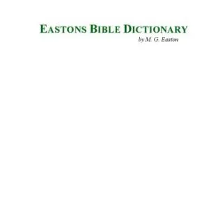 خرید و دانلود نسخه کامل کتاب The Bible Dictionary: Your Biblical Reference Book