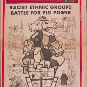 خرید و دانلود نسخه کامل کتاب The Black Panther newspaper