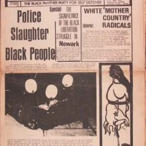 خرید و دانلود نسخه کامل کتاب The Black Panther newspaper