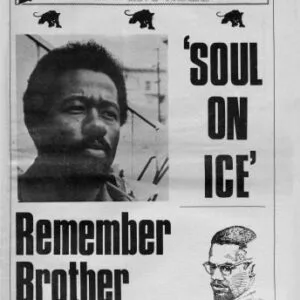 خرید و دانلود نسخه کامل کتاب The Black Panther newspaper