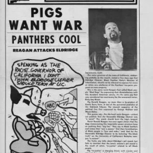 خرید و دانلود نسخه کامل کتاب The Black Panther newspaper