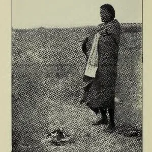 خرید و دانلود نسخه کامل کتاب The Cheyenne Indians, their history and ways of life